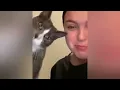 TALKING CATS 100 MINUTES - The Funniest Cat Videos ( Paw TV )
