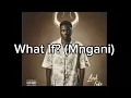 Download Lagu What If? (Mngani) (Lyrics) Song by Yanga Chief ‧ 2025
