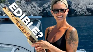 Cooking in a Metal Mystery Tube | Step 329