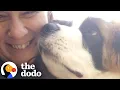 Will She Foster Fail With A Saint Bernard Puppy The Dodo