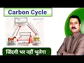 Carbon Cycle Explained Simply Easy explained with diagrams