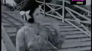 ماقلتلك متخدهاشي ليلى نظمي 