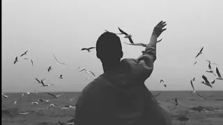 الا ياليت تذكرني دندنها