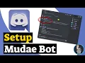 How To Set Up Mudae Bot On Discord