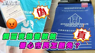 凝聚香港｜假賣旗｜真詐騙｜賣旗日