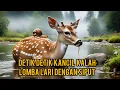EPS9 || PERISTIWA KANCIL DIKALAHKAN OLEH SIPUT ||