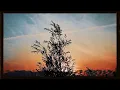 Dil Tengî - Uzattım Sana Elimi - Dil Tengi