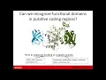 Functional Annotation and Analysis of Transcripts