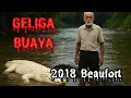 #213      SANTAU DARI ORANG GAJI (2005), GELIGA BUAYA (2018 Beaufort)