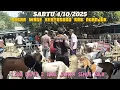 Download Lagu 1.500 DAPAT 2 JANTAN ⁉️ REVIEW HARGA KAMBING PASAR WAGE KERTOSONO @BERPETUALANG75 