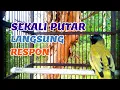 Download Lagu Pancingan Kutilang Sutra Super Gacor @AnakDesaKicau