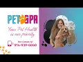 Pet Spa Center