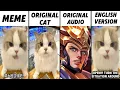 Lagu Chinese Cat Original vs Meme vs Original Audio vs English Version