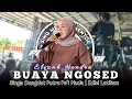 Download Lagu BUAYA NGOSED - VOC : ELIZAH | PUTRA PA'I MUDA | EDISI LATIHAN