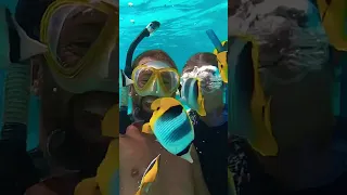 Cuteness overload… #shorts #underwaterworld #fish #diving #coralgarden #frenchpolynesia #sailing