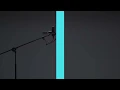 DISH// (Takumi Kitamura) - Neko(Cat)/THE FIRST TAKE