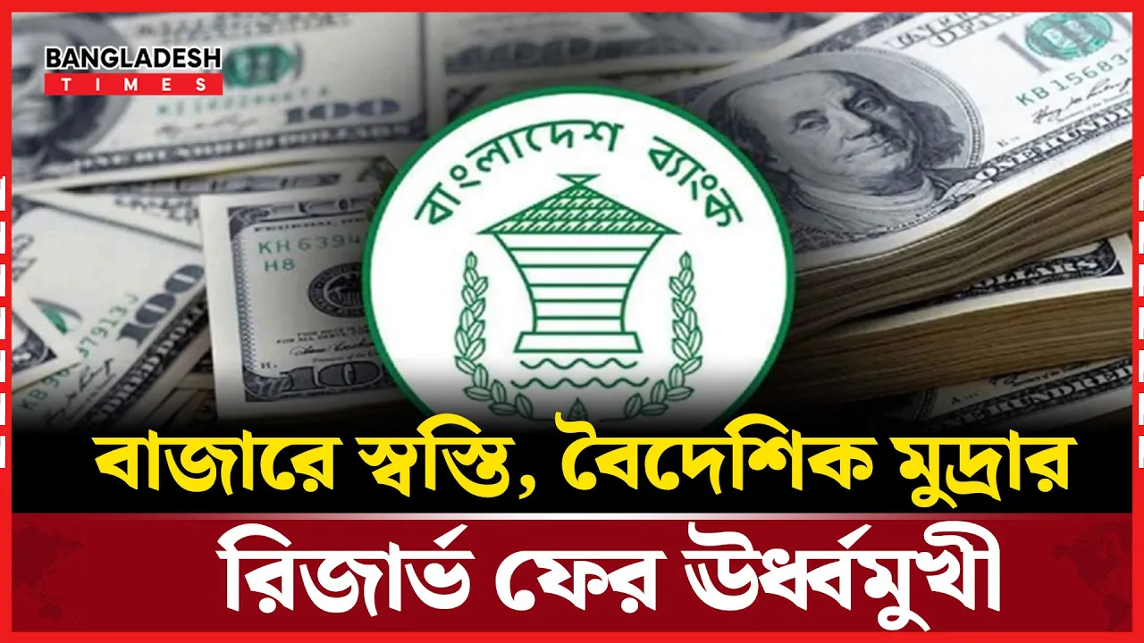 দেশের বৈদেশিক মুদ্রার রিজার্ভ ছাড়াল ৩০ বিলিয়ন ডলার