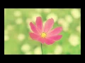 Download Lagu j^p^n  - bloom. [] - first part only Extended