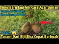Lagu Satu tahun bisa berbuah !! Ilmu rahasia jarang di bahas ! Cara agar durian dari biji cepat berbuah