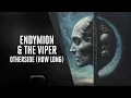 Download Lagu Endymion \u0026 The Viper - Otherside (How Long)