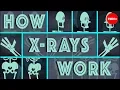 Download Lagu How X-rays see through your skin - Ge Wang