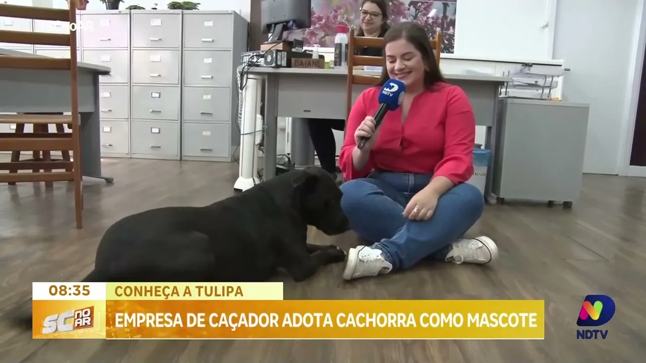 Empresa de Caçador adota cachorrinha como mascote