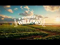 zach bryan - no cure (lyrics)