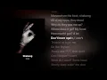 Shabang - Drake [lyrics video]