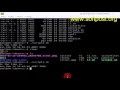 How to execute sh file in Arch Linux