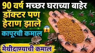 ना केमिकल न औषध 90 वर्षं मच्छर,पाल, कॉक्रोच,उंदीर घरात दिसणार नाहीत😱😱 puneri tadka video / recipe 😱😱