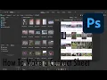 TUTORIAL How To Make a Contact Sheet