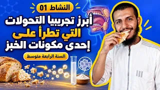 الحصة 1: أبرز تجريبيا التحولات التي تطرأ على إحدى مكونات الخبز رابعة متوسط علوم طبيعية