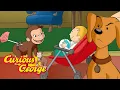 There s Only ONE Lobby Dog Curious George Kids Cartoon Kids Movies
