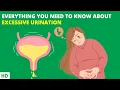 Download Lagu Too Much Peeing? Here's What Your Body is Trying to Tell You!