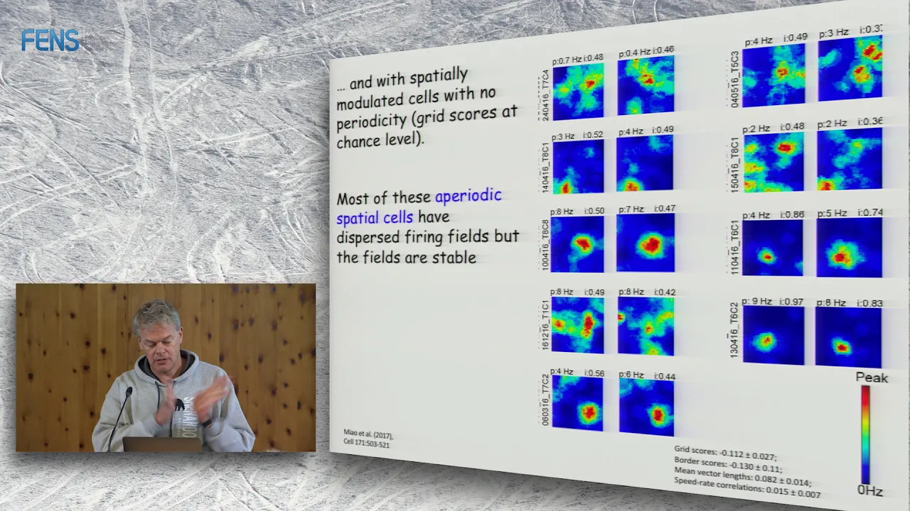 Edvard Moser on Position coding in the entorhinal cortex