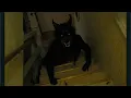 Distressing memes that represent my mental health v23 schizophrenia edition
