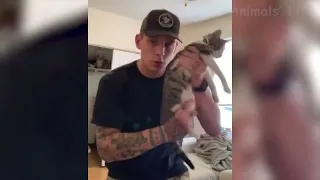 cute and funny cats and dogs compilation 1
