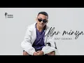 Download Lagu ULAR MINYA (Music Audio)