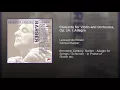 Violin Concerto, Op. 14: I. Allegro