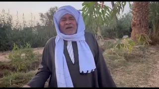  مديح  عملت  انا راعى راءعة الشيخ سيد ماشاء الله مديح فى حب الرسول مصر السعوديه الكويت الاردن ا دندنها