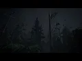 THE LAST OF US Part II Ambient Music 🎵 Rainy Night (LoU 2 OST | Soundtrack)