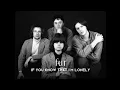Download Lagu FUR - If You Know That I'm Lonely (Lyrics)