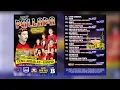 Download Lagu Full Album New Pallapa Jadul versi Temu Akrab ke 4 vol B