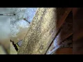 Florida homeowner says discovery in attic cost her a buyer