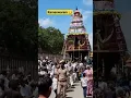 Download Lagu Rameswaram on the occasion of Mahashirvratri 😊🥰 | #shorts #rathayatra #Rameswaram #Tamilnadu #india