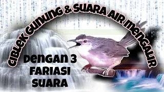 Download MASTERAN CIBLEK GUNUNG SUARA FARIASI \u0026 GEMERICIK AIR MENGALIR MP3