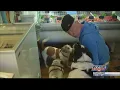 Pet-focused butcher shop
