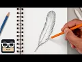 How to Draw a Realistic Feather Step by Step Sketch Tutorial
