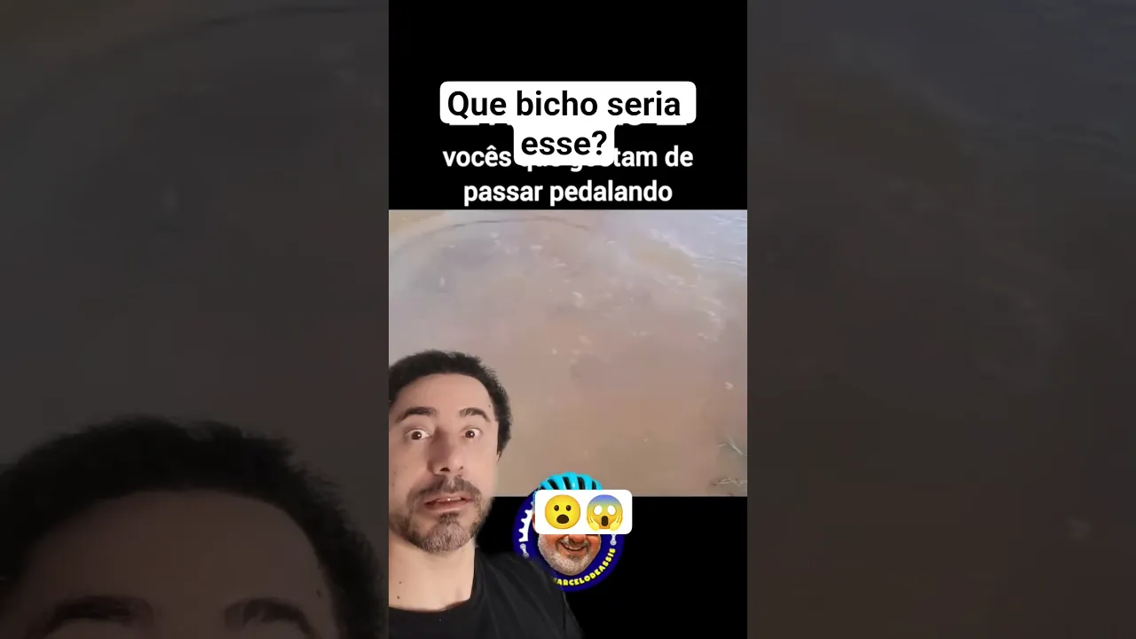 14 de outubro de 2025