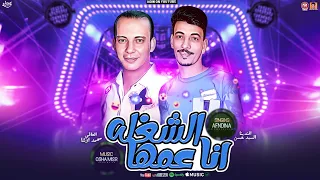 الشغله انا عمها   السيد حسن   اوشا مصر   جديد      دندنها